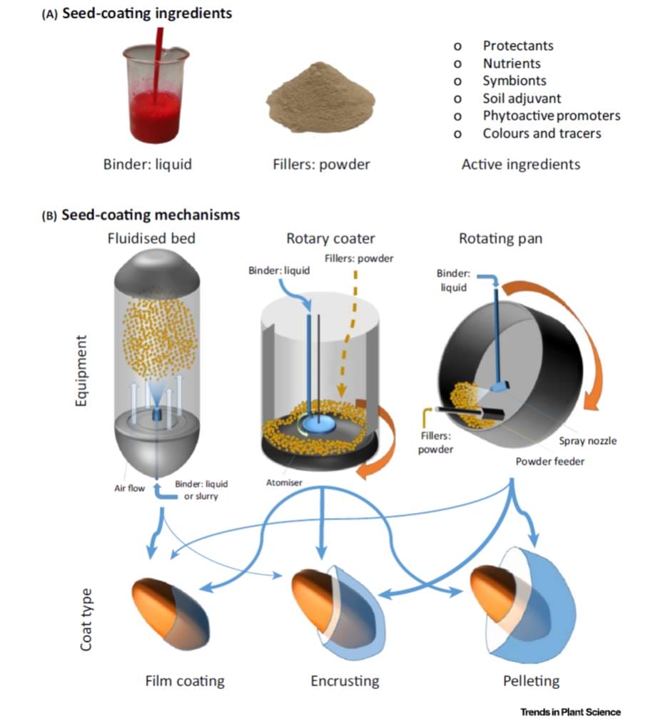 Picture Keywords Picture Keywords