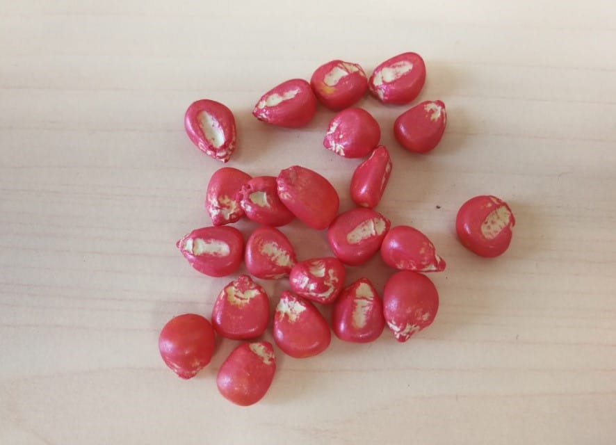 Picture Keywords Picture Keywords