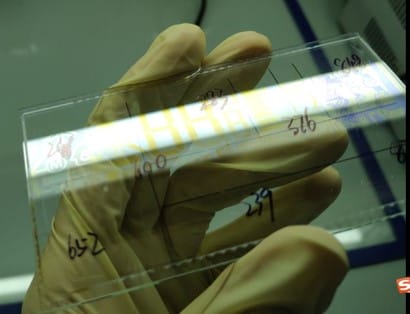 1658466814630707.jpg PI層厚度測量.jpg