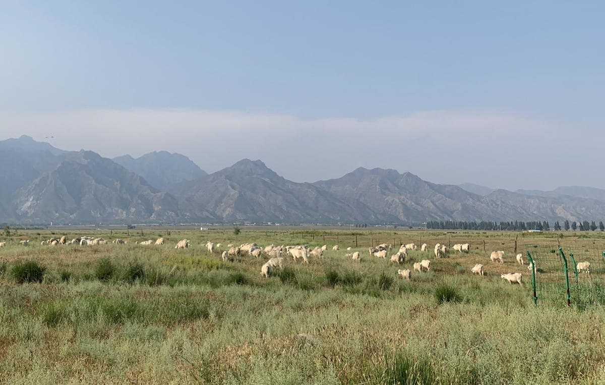 1695025156379975.jpg 2f5c55c704d454734faf9139bc1bb6e6-sz_550472.jpg