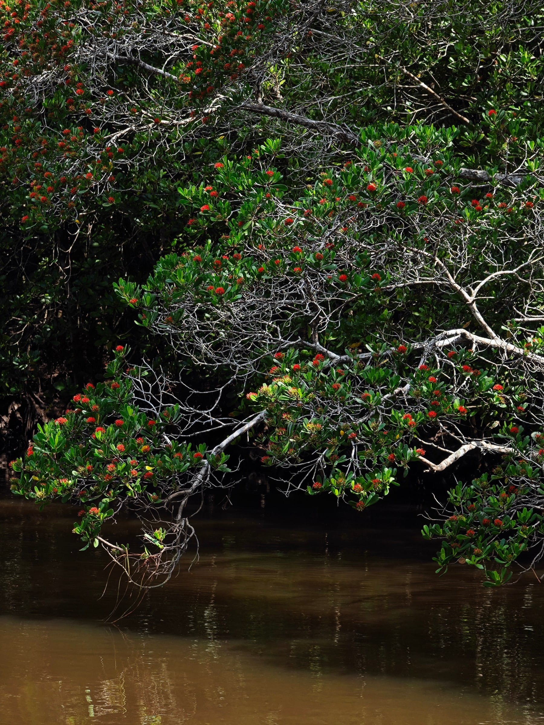 圖片關(guān)鍵詞