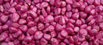 種子包衣測(cè)量方案- filmetrics F3-s1310 膜厚測(cè)量?jī)x