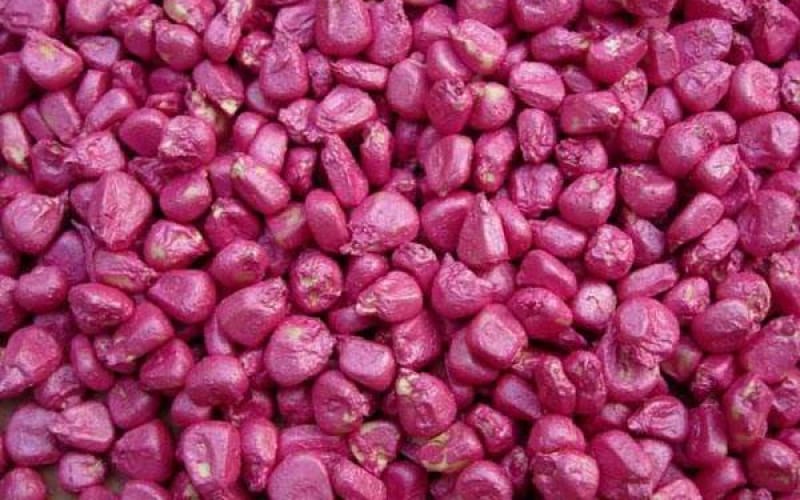 種子包衣測(cè)量方案- filmetrics F3-s1310 膜厚測(cè)量?jī)x